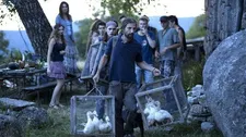 Mathieu Kassovitz in Cédric Kahn's Wild Life